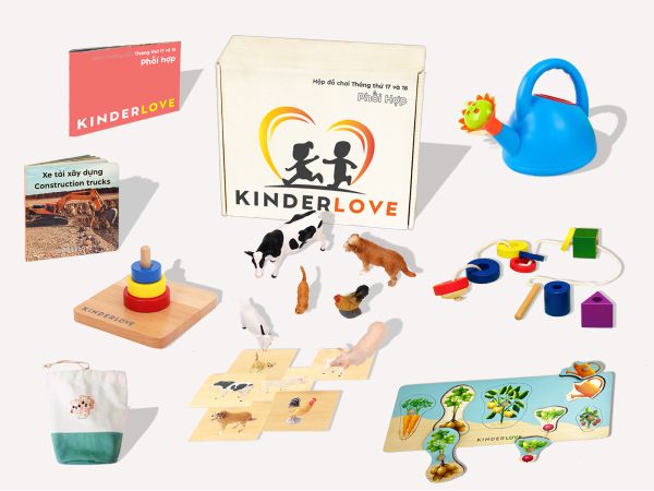 Đồ chơi Montessori - 16- Hộp Đồ Chơi Phối Hợp - Đồ Chơi Montessori Cho Bé 16-17 Tháng Tuổi