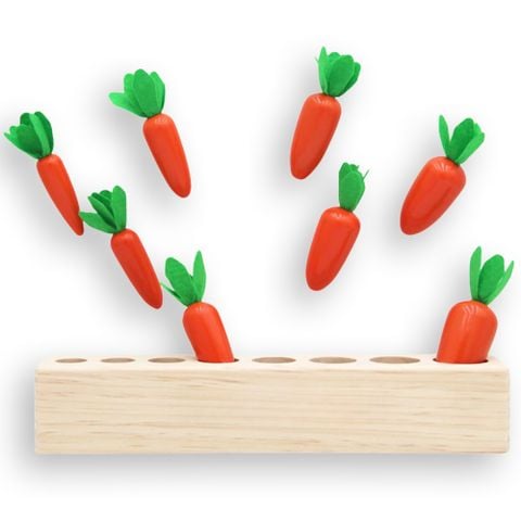  Cà Rốt Nhiều Kích Cỡ - Đồ Chơi Thông Minh