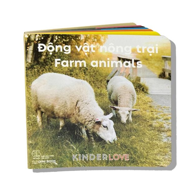 Sách Song Ngữ Anh Việt Kinderlove 