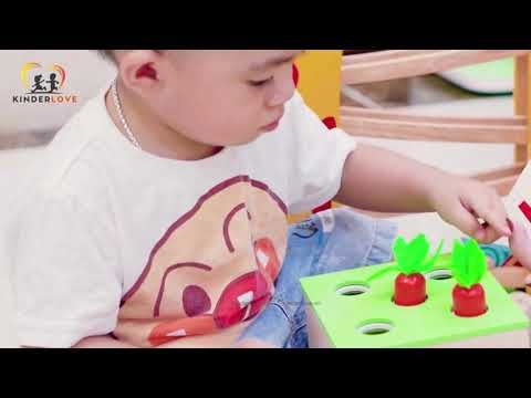  Hộp Xu, Cà Rốt & Que Gỗ - Đồ Chơi Montessori