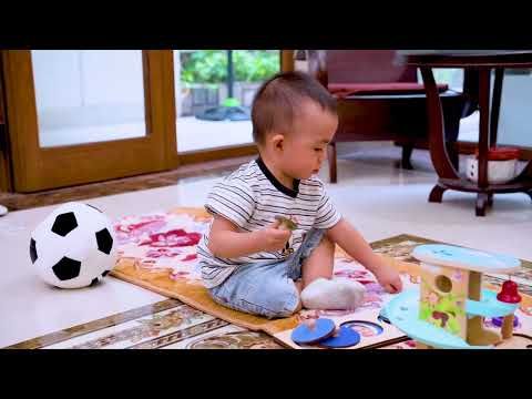  Ghép Hình Vòng Tròn - Đồ Chơi Montessori