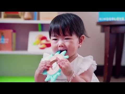  Vòng Gặm Nướu Con Nhím - Đồ Chơi Cho Trẻ Sơ Sinh
