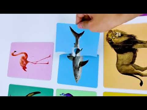  Ghép Hình Hai Miếng - Đồ Chơi Giáo Dục