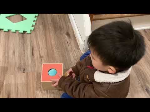  Mèo Ném Bóng - Đồ Chơi Thông Minh