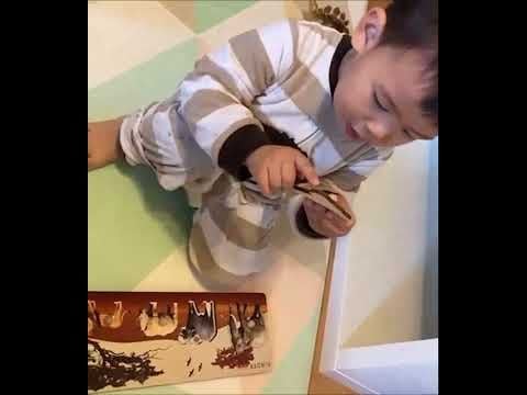  Ghép Hình Động Vật - Đồ Chơi Gỗ