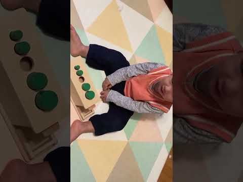  Hình Trụ Rơi - Đồ Chơi Montessori