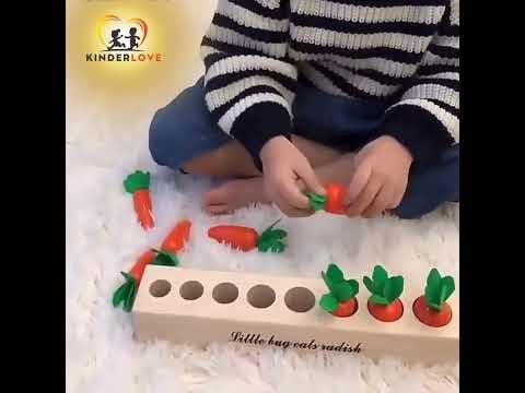  Cà Rốt Nhiều Kích Cỡ - Đồ Chơi Thông Minh