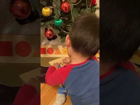  Hộp Xu Gỗ - Giáo Cụ Montessori