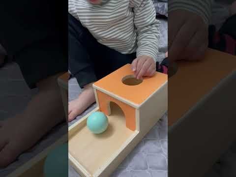  Hộp Thả Bóng - Giáo Cụ Montessori