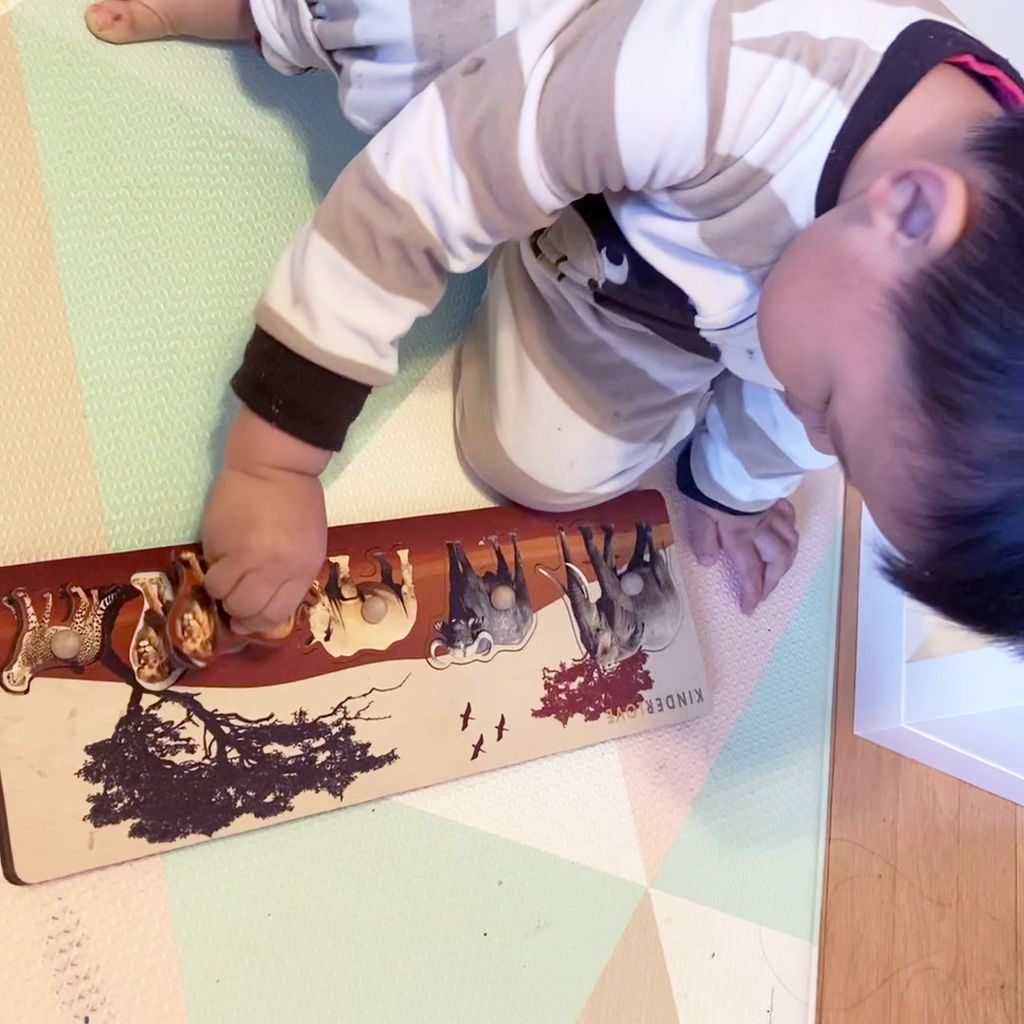 Ghép hình động vật - Đồ chơi Montessori