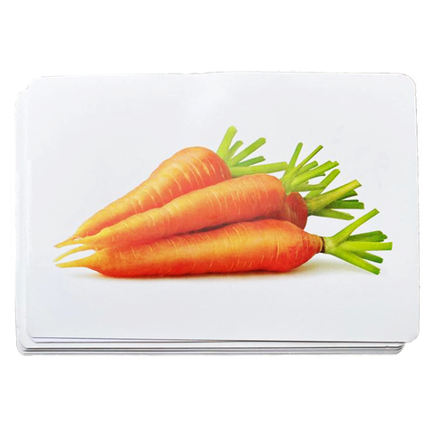 Thẻ Ảnh Flashcard Học Từ Vựng Tiếng Việt và Tiếng Anh Giúp Bé Phát Triển Ngôn Ngữ Và Tư Duy