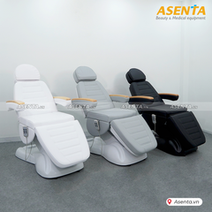 GIƯỜNG SPA THẨM MỸ CHỈNH ĐIỆN TAY GỖ Hi-MEC HMBB-C810