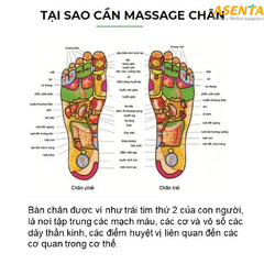 Lăn chân gỗ có núm