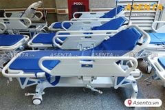Băng ca cứu thương TJM-BC01