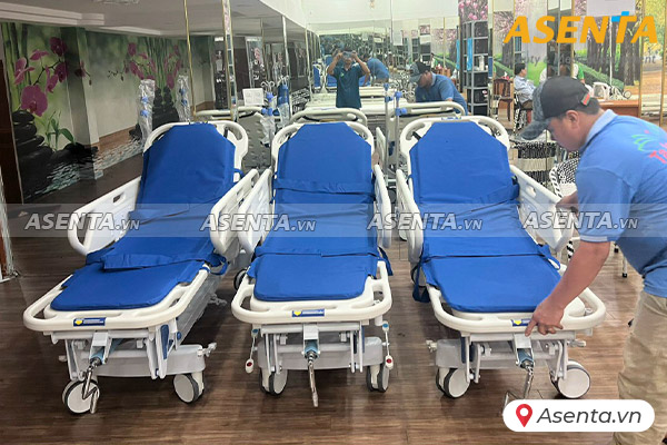 Băng ca cứu thương TJM-BC01