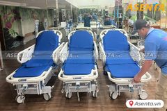 Băng ca cứu thương TJM-BC01