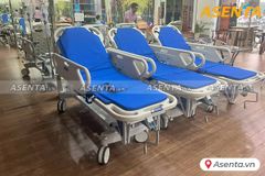 Băng ca cứu thương TJM-BC01