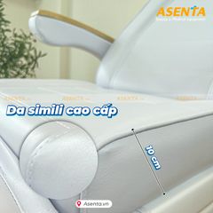 Giường Spa chỉnh điện HMBB-8030 màu Trắng