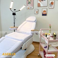 Đèn led livestream 2 nhánh CD-AX45