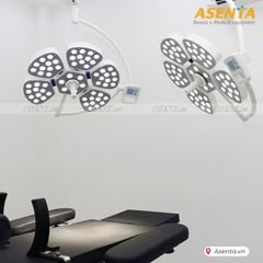Đèn mổ 5 cánh hoa 2 nhánh treo trần HMSL-600/600/II-C