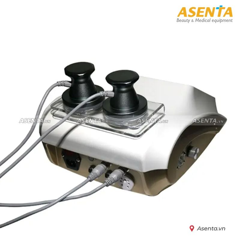 Máy điện sinh học DDS 5 trong 1