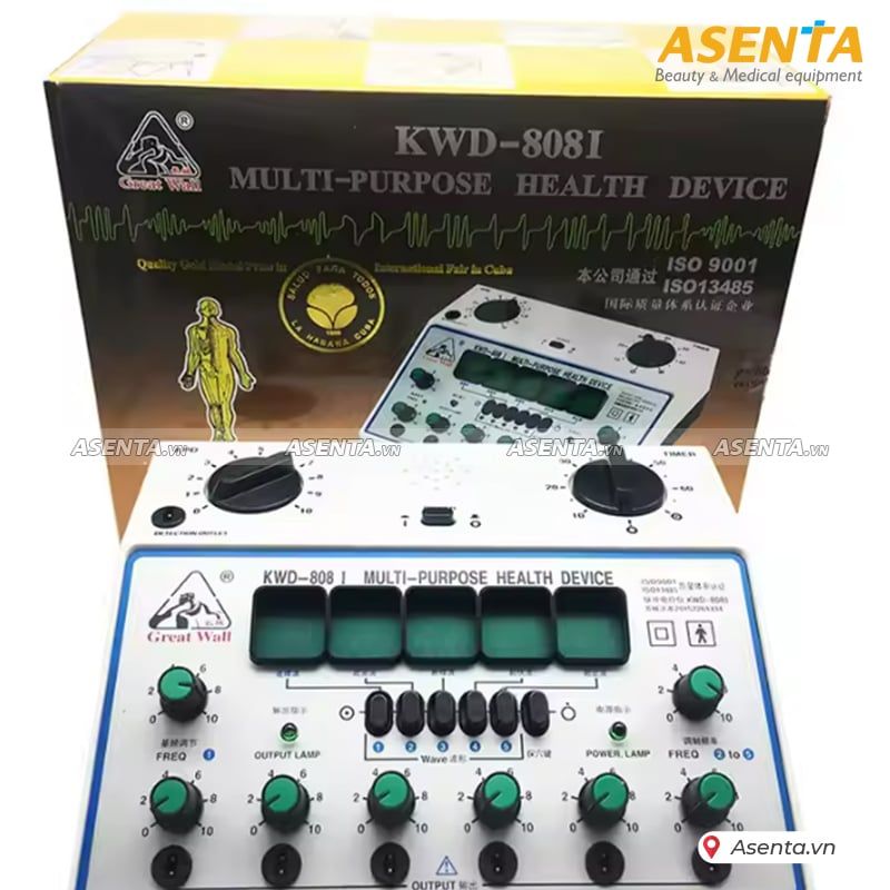 Máy điện châm trị liệu KWD -  808 I