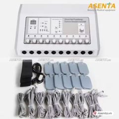 Máy điện xung 10 cổng bản thường