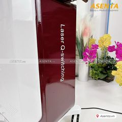 Máy xóa xăm Quantum Laser QTL-220P
