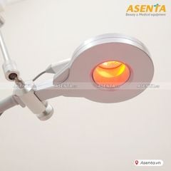 Máy từ trường siêu dẫn PMST NEO+ kết hợp hồng ngoại - Bản thân đứng