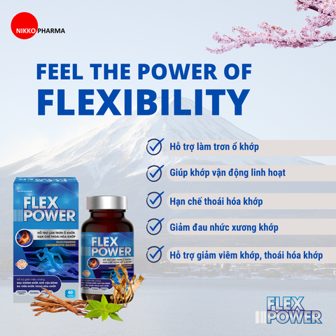  VIÊN UỐNG HỖ TRỢ XƯƠNG KHỚP FLEX POWER 