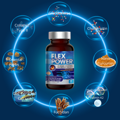  VIÊN UỐNG HỖ TRỢ XƯƠNG KHỚP FLEX POWER 