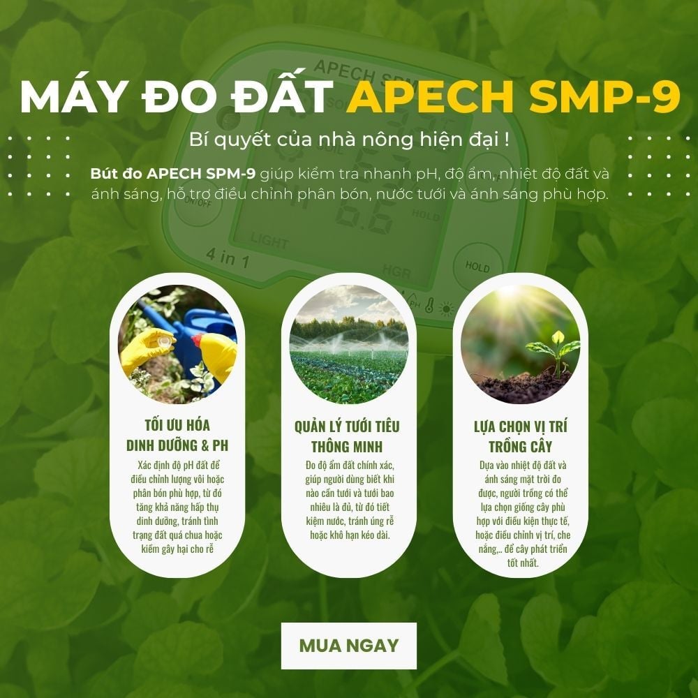 Máy đo pH đất, nhiệt độ, độ ẩm, ánh sáng APECH SPM-9 (4-in-1)