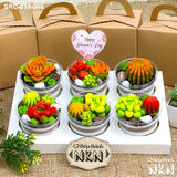  Set 6 Cupcake Sen Đá Quà Tặng (SRC-015-048) 