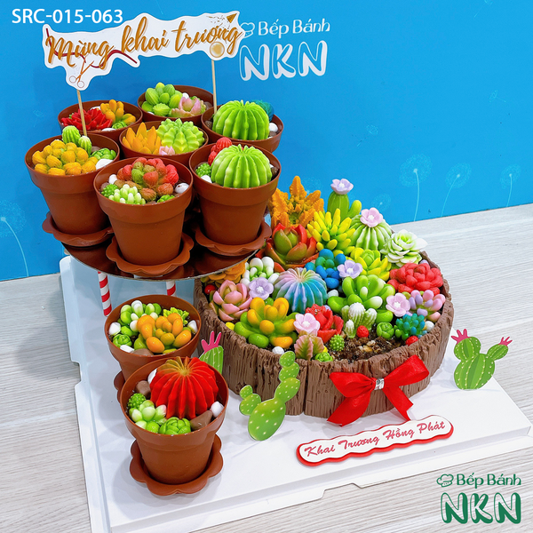 Set bánh tiệc – bepbanhNKN