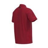 Áo Polo Nam 621-4160281-100