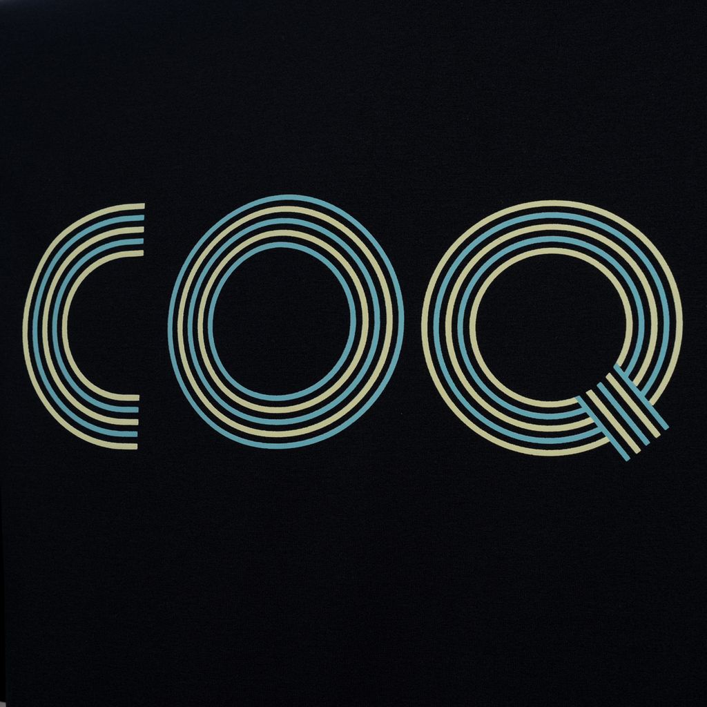 Áo T-shirt le coq sportif Nam QQ223LRS43-BLK0