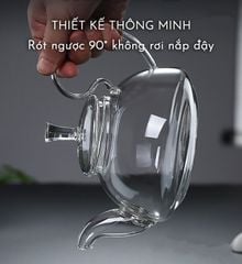 Ấm Pha Trà Thủy Tinh Chịu Nhiệt Quai Vòng Tiện Lợi Dung Tích 600ml