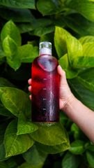 Combo trà Hoa Atiso đỏ (Hibiscus) kết hợp cỏ ngọt thơm mát giải nhiệt