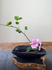 Đĩa cắm hoa Ikebana gốm sứ hình bầu dục miệng loe hoa