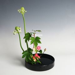 Đĩa cắm hoa Ikebana, đĩa cắm hoa phong cách Nhật Bản hình tròn