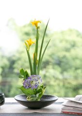 Đĩa cắm hoa gốm sứ phong cách Ikebana, cắm hoa trường phái Ohara Nhật Bản đường kính 17cm