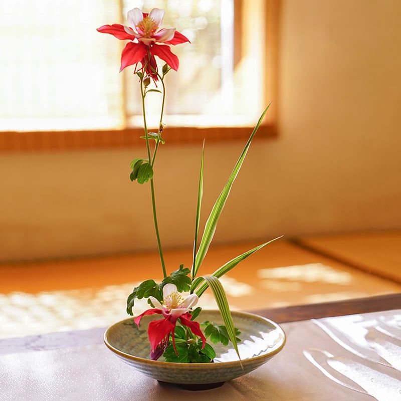 Đĩa cắm hoa gốm sứ phong cách Ikebana, cắm hoa trường phái Ohara Nhật Bản đường kính 17cm