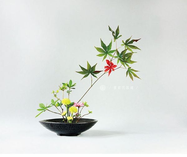 Đĩa cắm hoa gốm sứ phong cách Ikebana, cắm hoa trường phái Ohara Nhật Bản đường kính 17cm