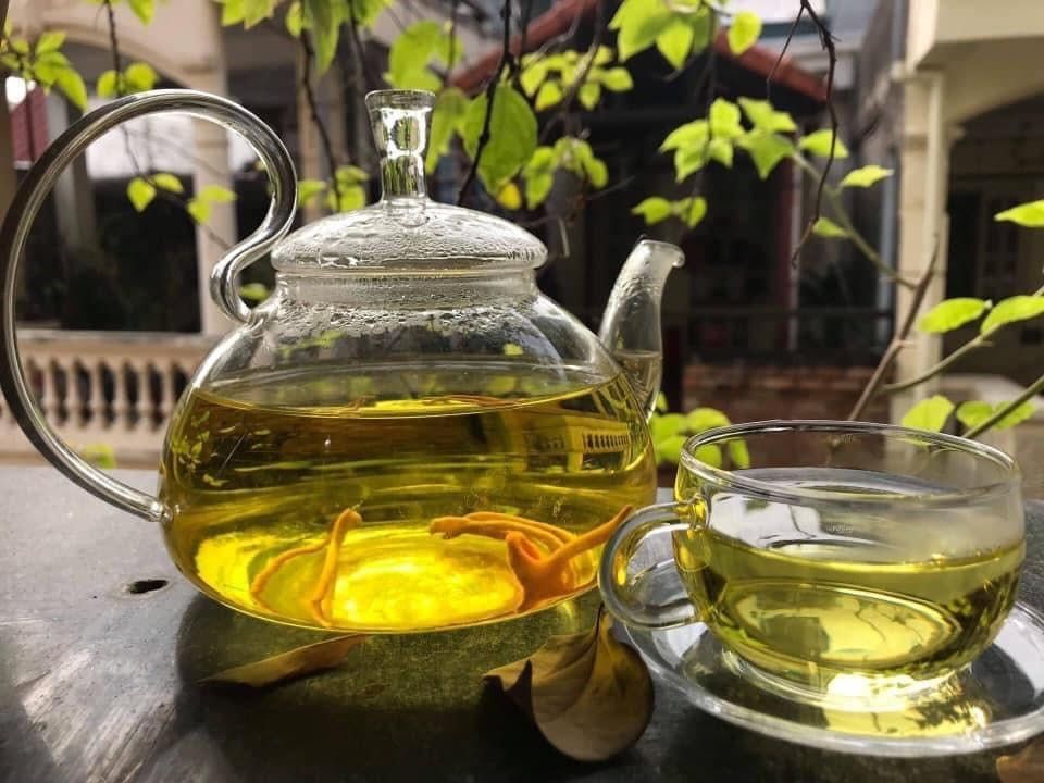 Đông Trùng Hạ Thảo Việt Nam Giống Gốc Nhập Từ Nhật Hũ 25gr