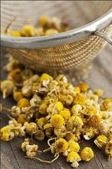 Trà Hoa Cúc La Mã Organic Hữu Cơ. Trà Hoa Cúc Chamomile Nguyên Bông Cao Cấp