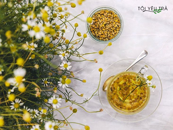 Trà Hoa Cúc La Mã Organic Hữu Cơ. Trà Hoa Cúc Chamomile Nguyên Bông Cao Cấp