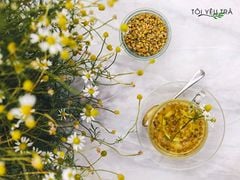 Trà Hoa Cúc La Mã Organic Hữu Cơ. Trà Hoa Cúc Chamomile Nguyên Bông Cao Cấp