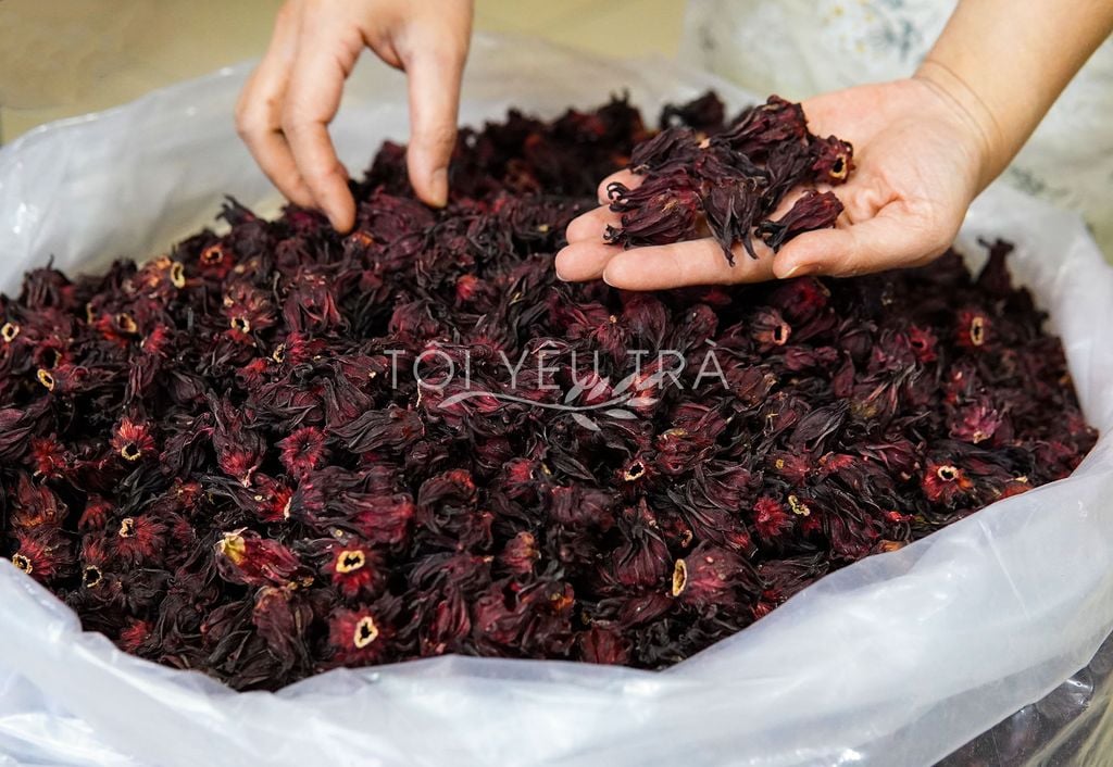 Combo trà Hoa Atiso đỏ (Hibiscus) kết hợp cỏ ngọt thơm mát giải nhiệt