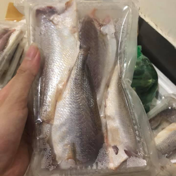 ca du tuoi