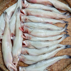 ca khoai